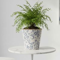 Macetero 17 Cm Flores Azul