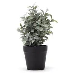 MICA - Planta Pot Plast Negro 25.4Cm