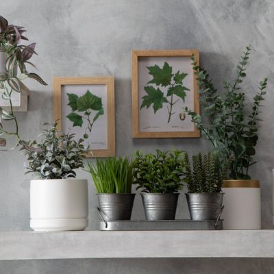 Imagen 2 del producto Planta Artificial 25.4 Cm