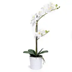MICA - Orquidea Blanca 51Cm