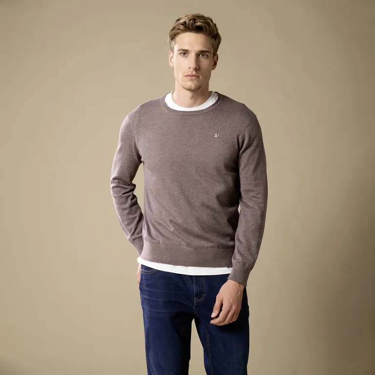 Sweater Algodón Cuello Redondo Hombre Regular Fit
