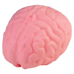 ORB TOYS - Cerebro Grande Sqweezy