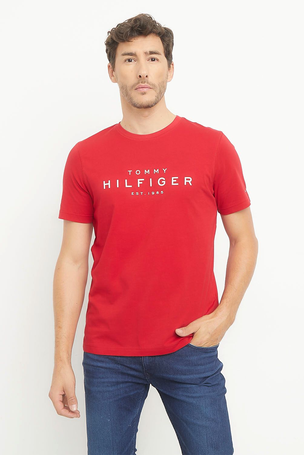 TOMMY HILFIGER - Polera Manga Corta Algodón Hombre Tommy Hilfiger