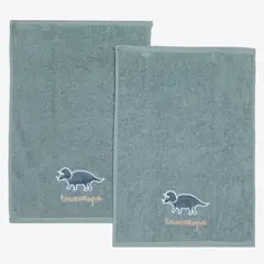 MICA KIDS - Toalla S2 Dino 40X60Cm