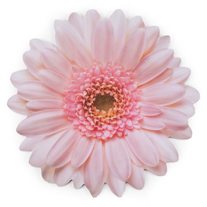 ROBERTA ALLEN - Individual Flor Flori Naif Gipsy Roberta Allen