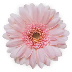 ROBERTA ALLEN - Individual Flor Flori Naif Gipsy