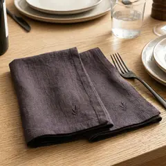 CASA CANTABRIA - Set x2 Servilletas Lino 45x45cm