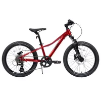 Bicicleta Infantil Aro 20 Makalu Pro