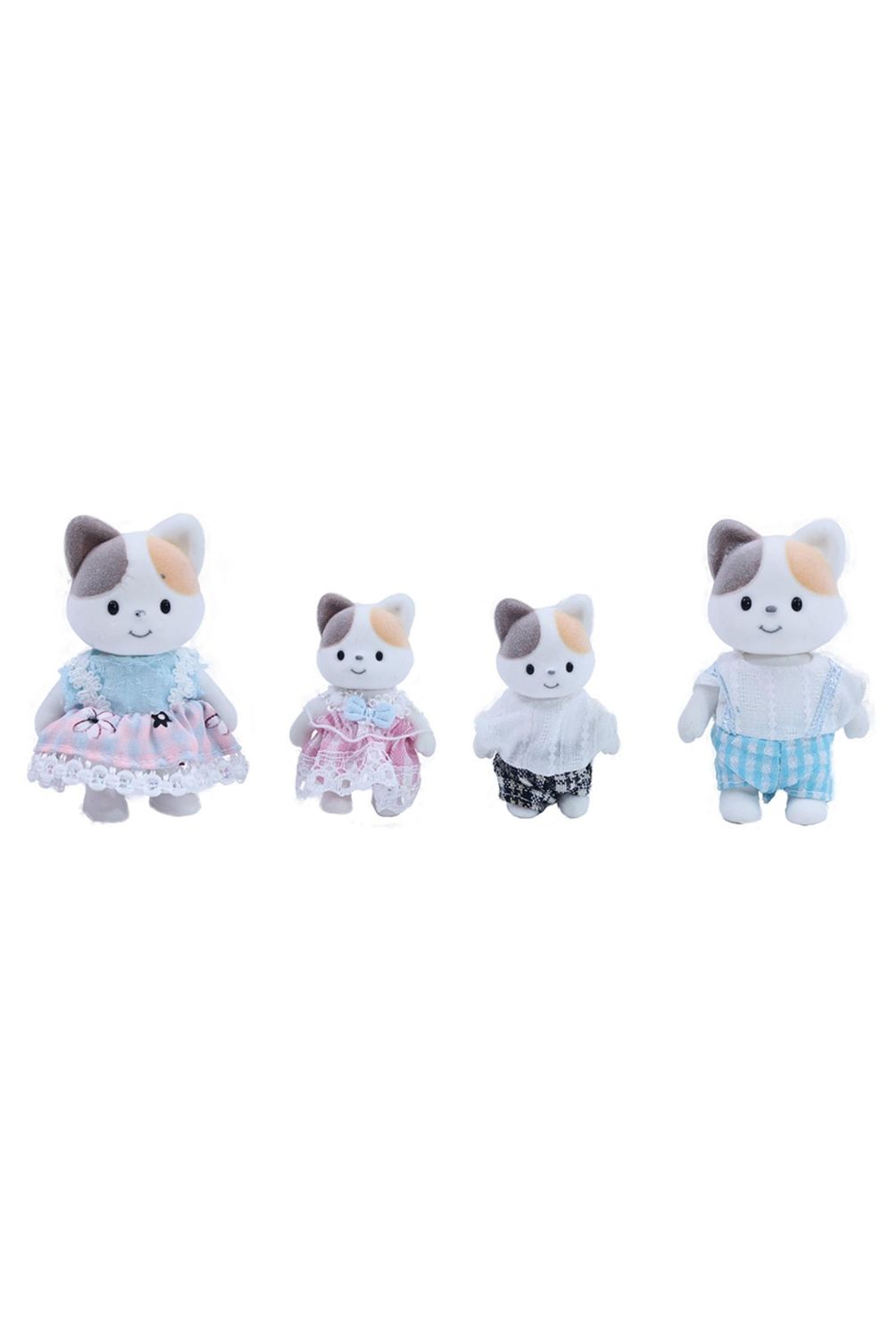 w=1004,h=1500,fit=pad