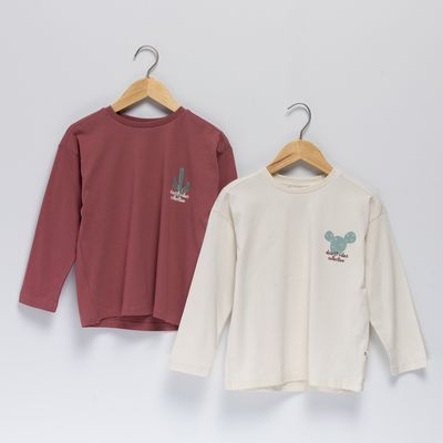 Imagen 2 del producto Pack de 2 Poleras Niño Manga Larga Algodón