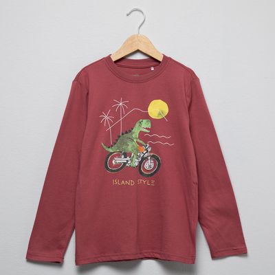 Imagen 2 del producto Polera Niño Manga Larga Algodón