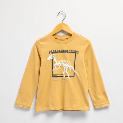 Imagen 1 del producto Polera Niño Manga Larga Algodón