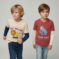 Pack de 2 Poleras Niño Manga Larga Algodón