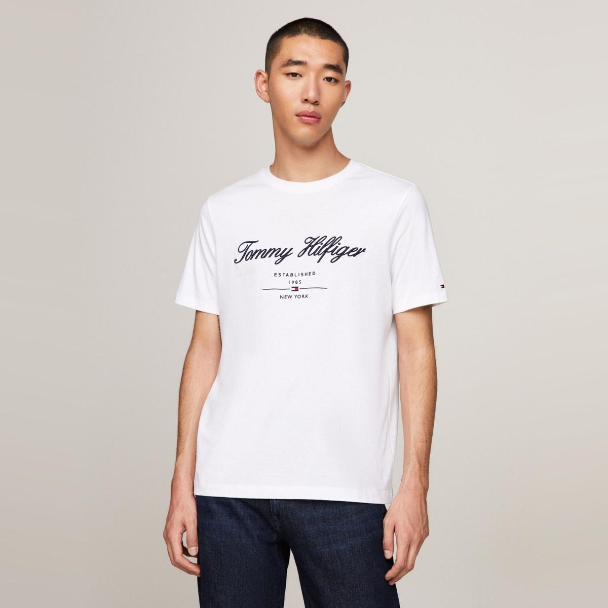 TOMMY HILFIGER - Polera Hombre Tommy Hilfiger