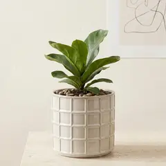 MICA - Macetero Cerámica 13 Cm Decoración