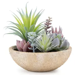 MICA - Suculenta Artificial 18X15Cm Planta Decoración