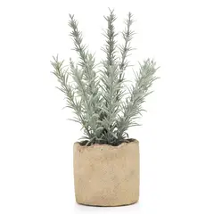 MICA - Planta ChrySantelmo 26X15 Cm