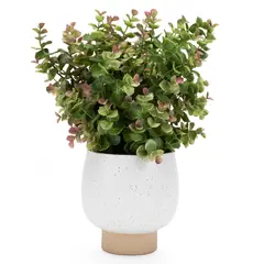 MICA - Planta Eucaliptus 25X35 Cm