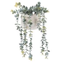 Eucaliptus Colgante 78 Cm