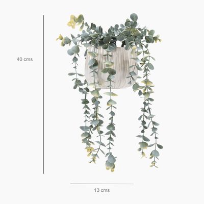 Imagen 2 del producto Eucaliptus Colgante 78 Cm