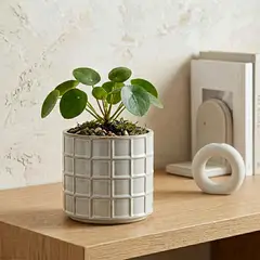 MICA - Macetero Cerámica 13 Cm Decoración