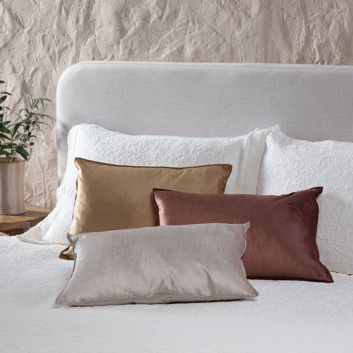 CASA CANTABRIA - Cojín Cama Velvet Café 33X50CM Casa Cantabria