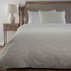 ROBERTA ALLEN - Cubrecama Paisley Sherpa con Funda de Almohada