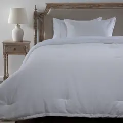 ROBERTA ALLEN - Plumón Bicolor Jacq Gina