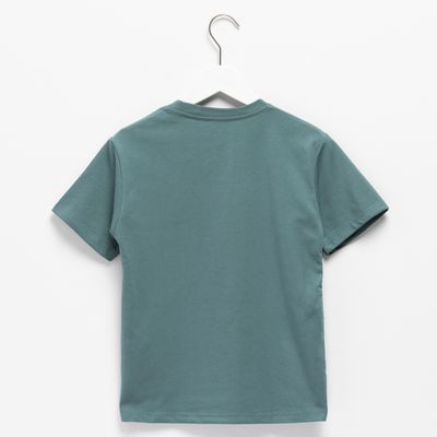 Imagen 2 del producto Polera Manga Corta Algodón Niño