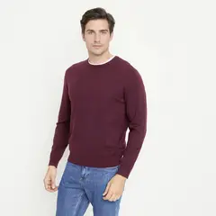 NEWPORT - Sweater Hombre Regular Fit Cuello Redondo