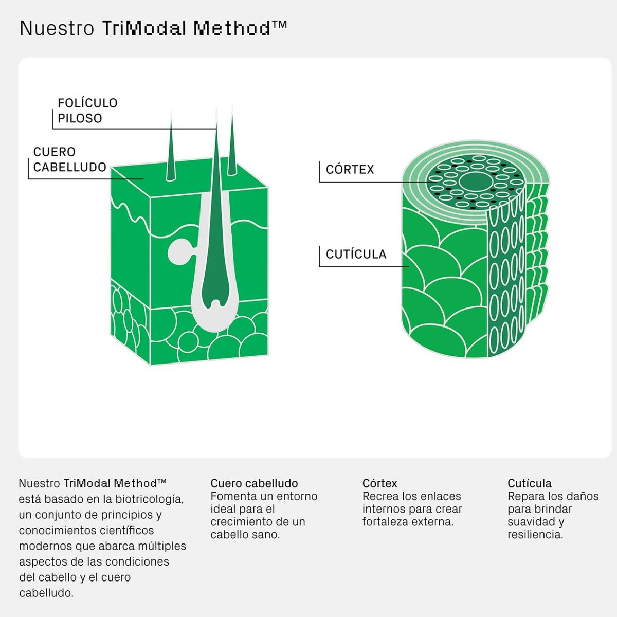 ISIMA - Curls Don’t Lie Curl Perfecto - Isima 200 ml