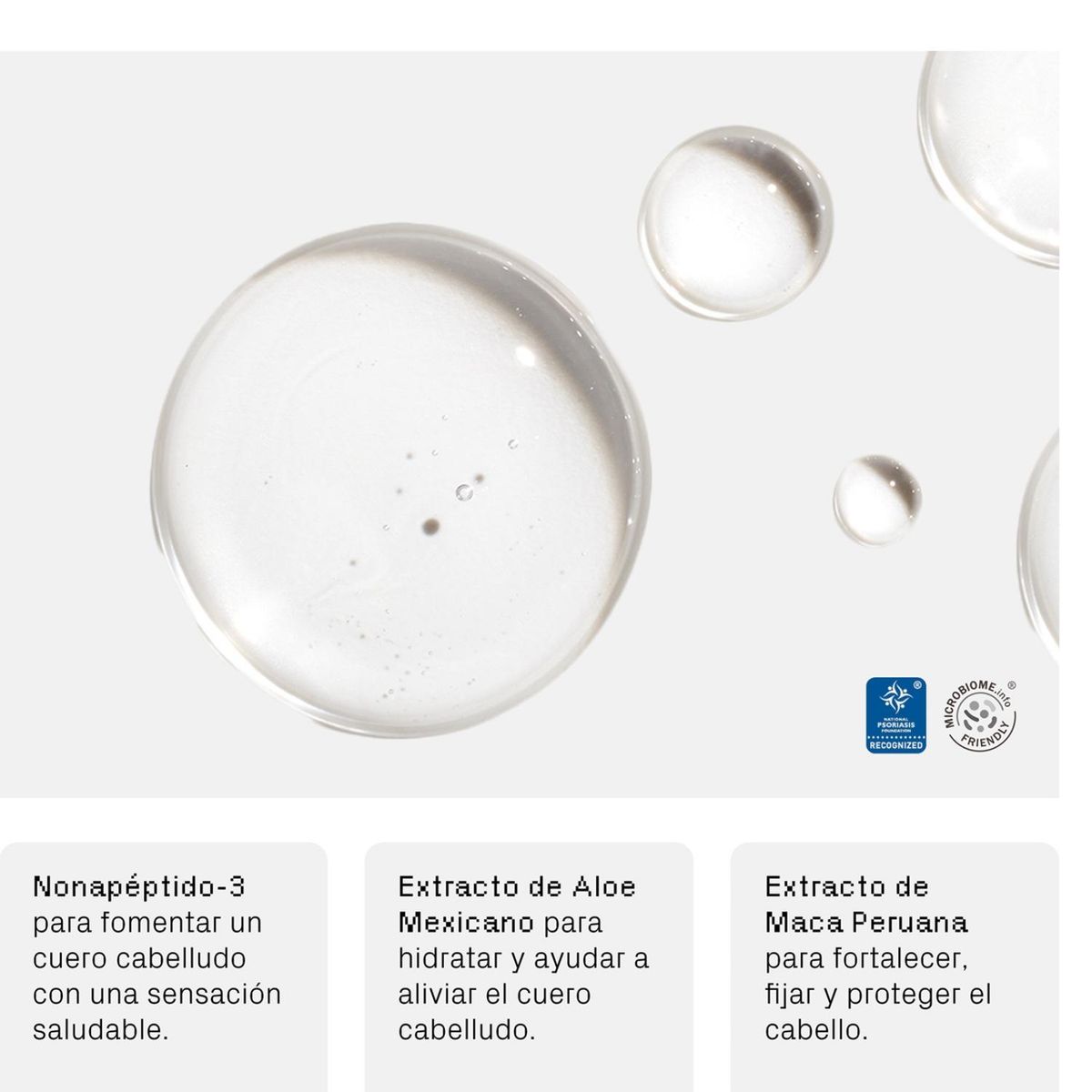 ISIMA - Serum Densificante para el Cuero Cabelludo Iconic - Isima