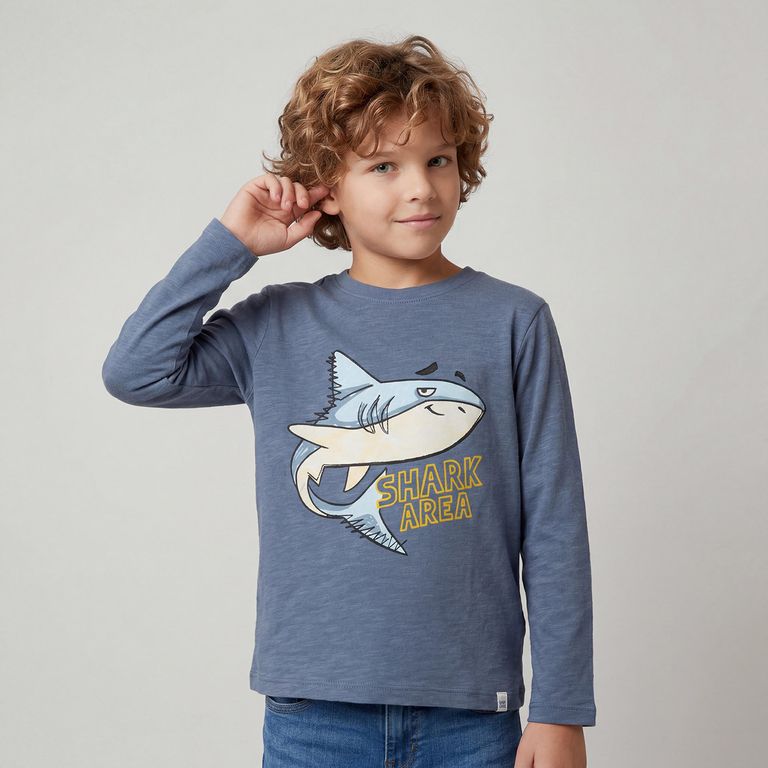 Polera Niño Manga Larga Algodón