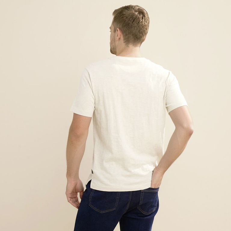 Polera Algodón Hombre