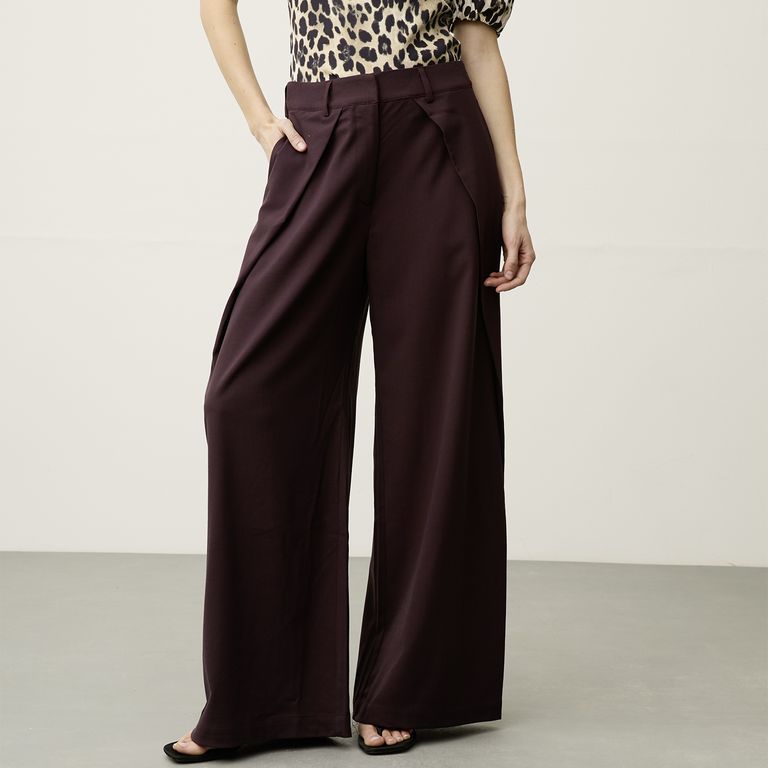 Pantalón Pinzas Mujer