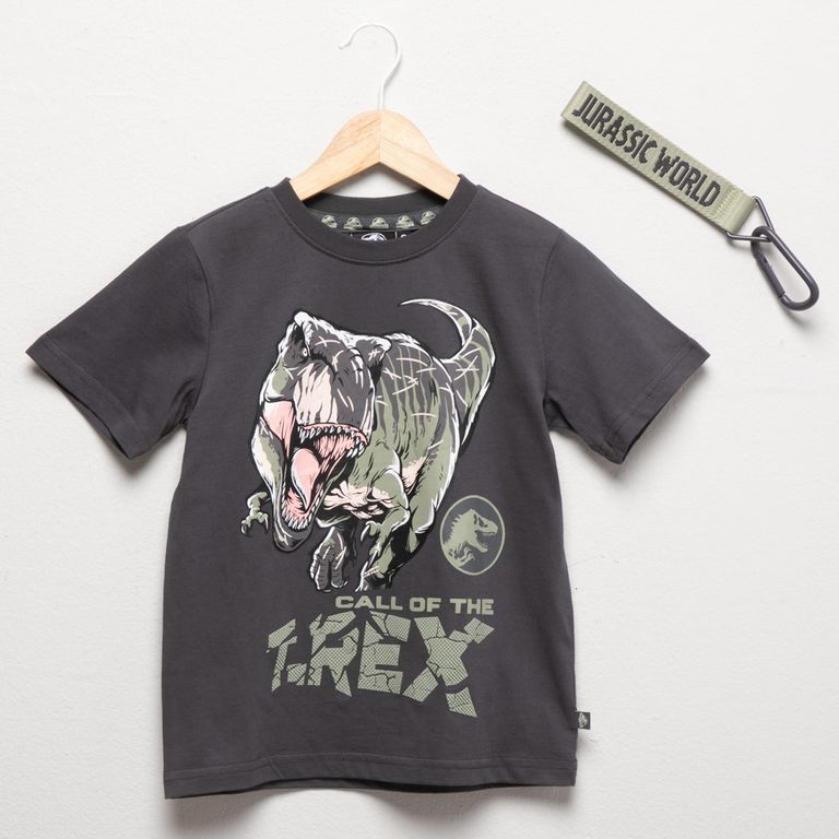 Polera Niño Con Llavero