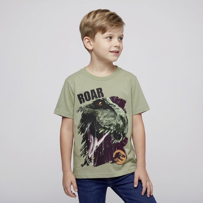 Polera Manga Corta Niño