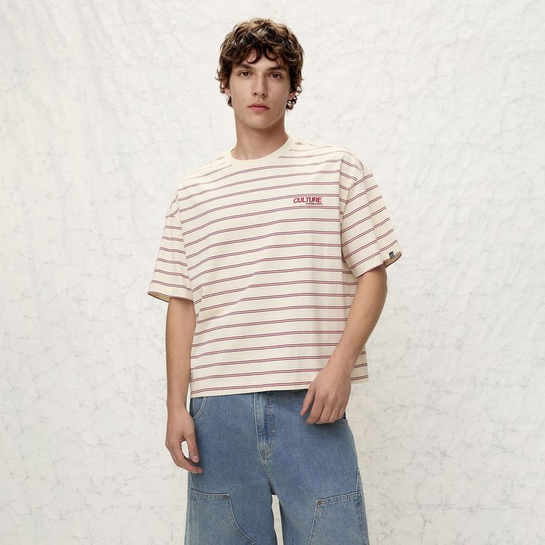 Polera Manga Corta Algodón Hombre