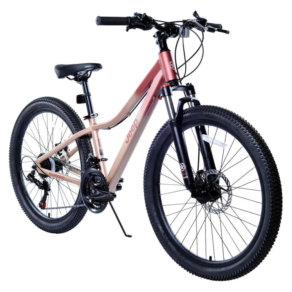 Jeep Manaslu 24 Beige, foto 2