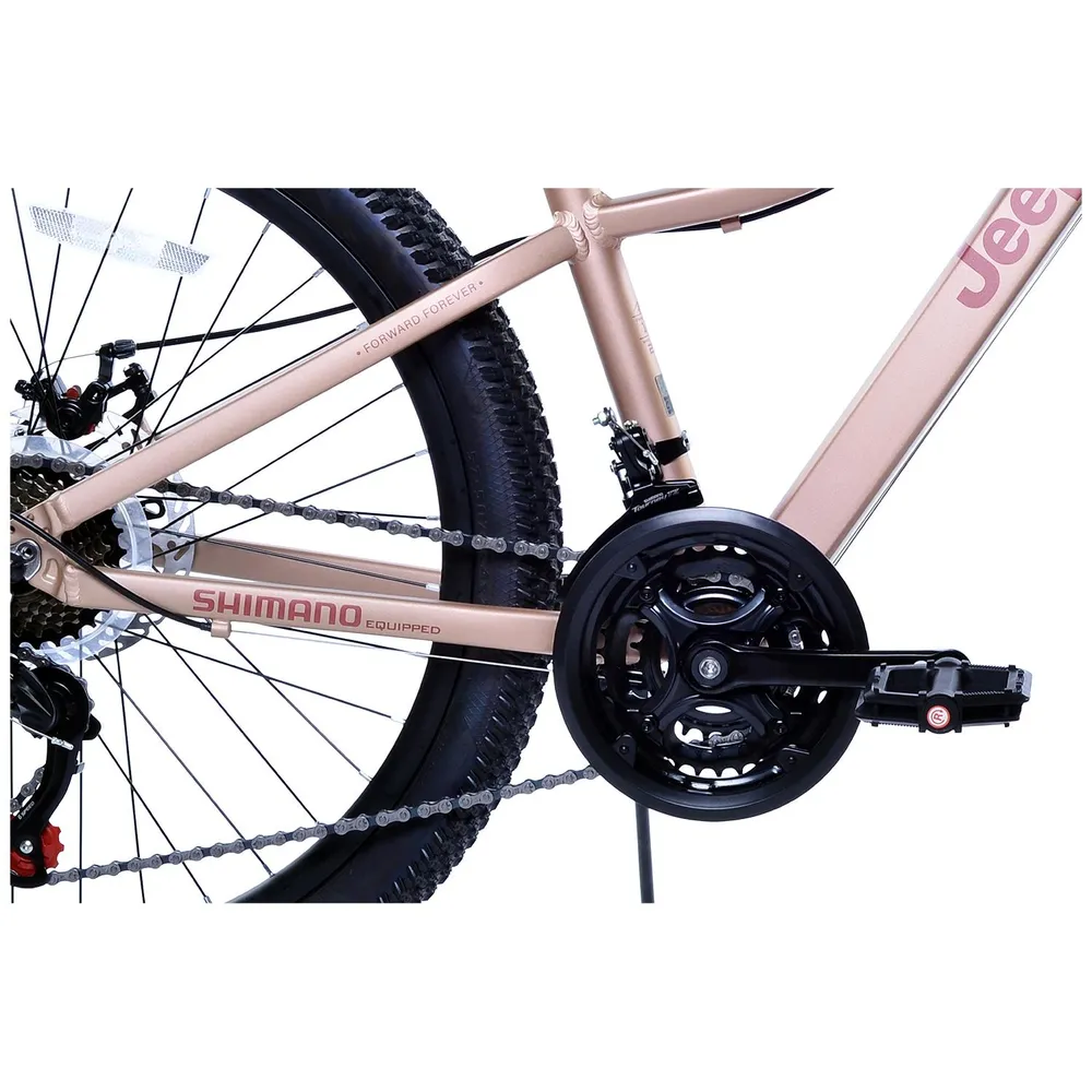 Jeep Manaslu 24 Beige, foto 4