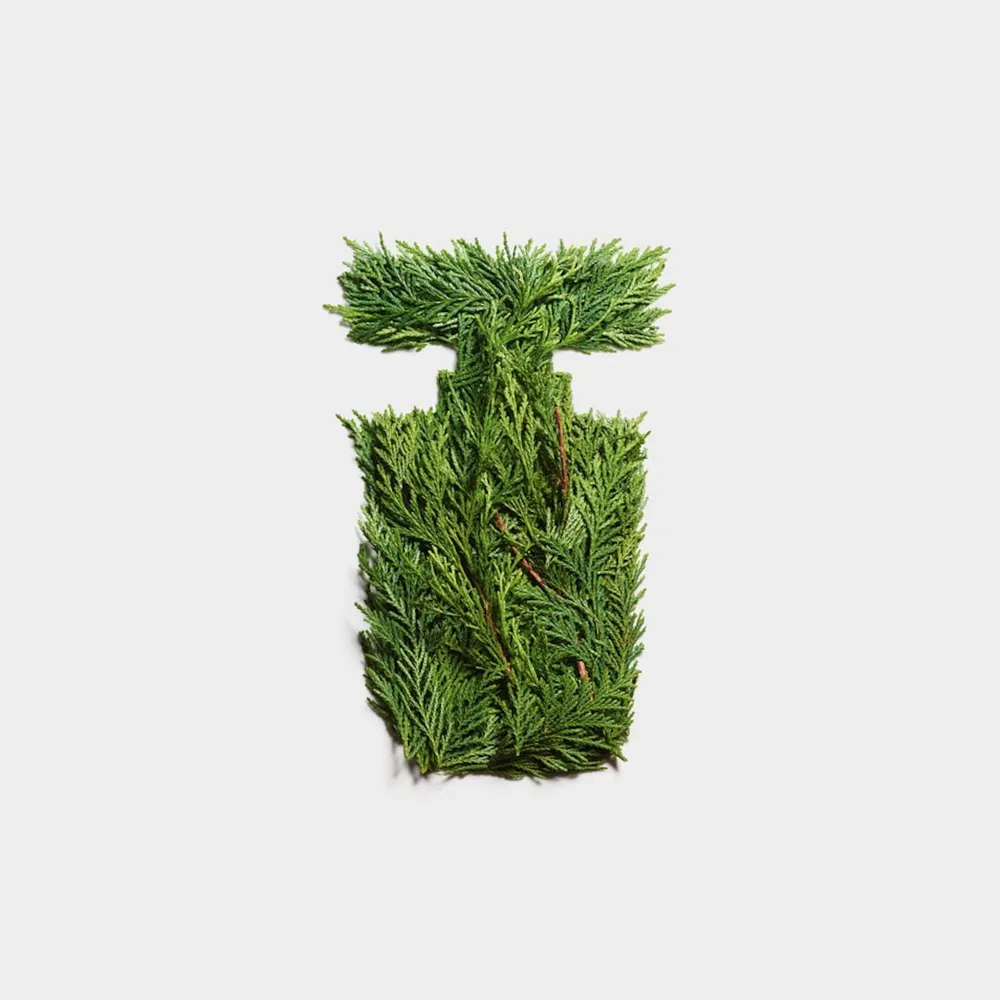 Tommy Hilfiger Impact EDT 100 ml, foto 11