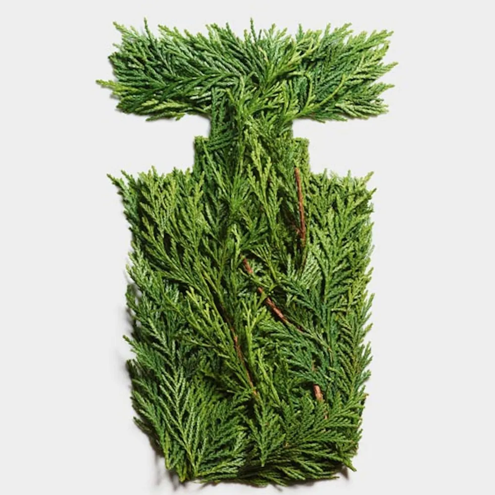 Tommy Hilfiger Impact EDT 50 ml, foto 7