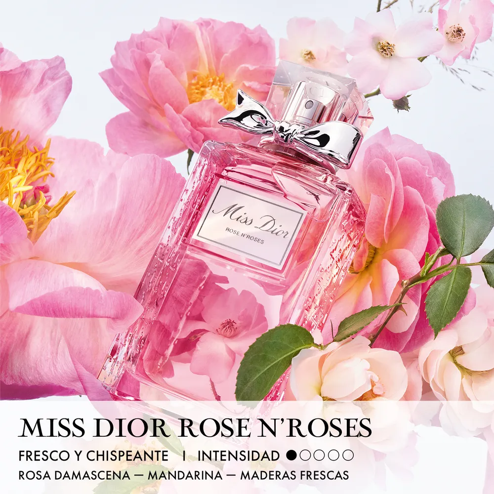 Dior Miss Dior Rose N'Roses EDT 100 ml, foto 3