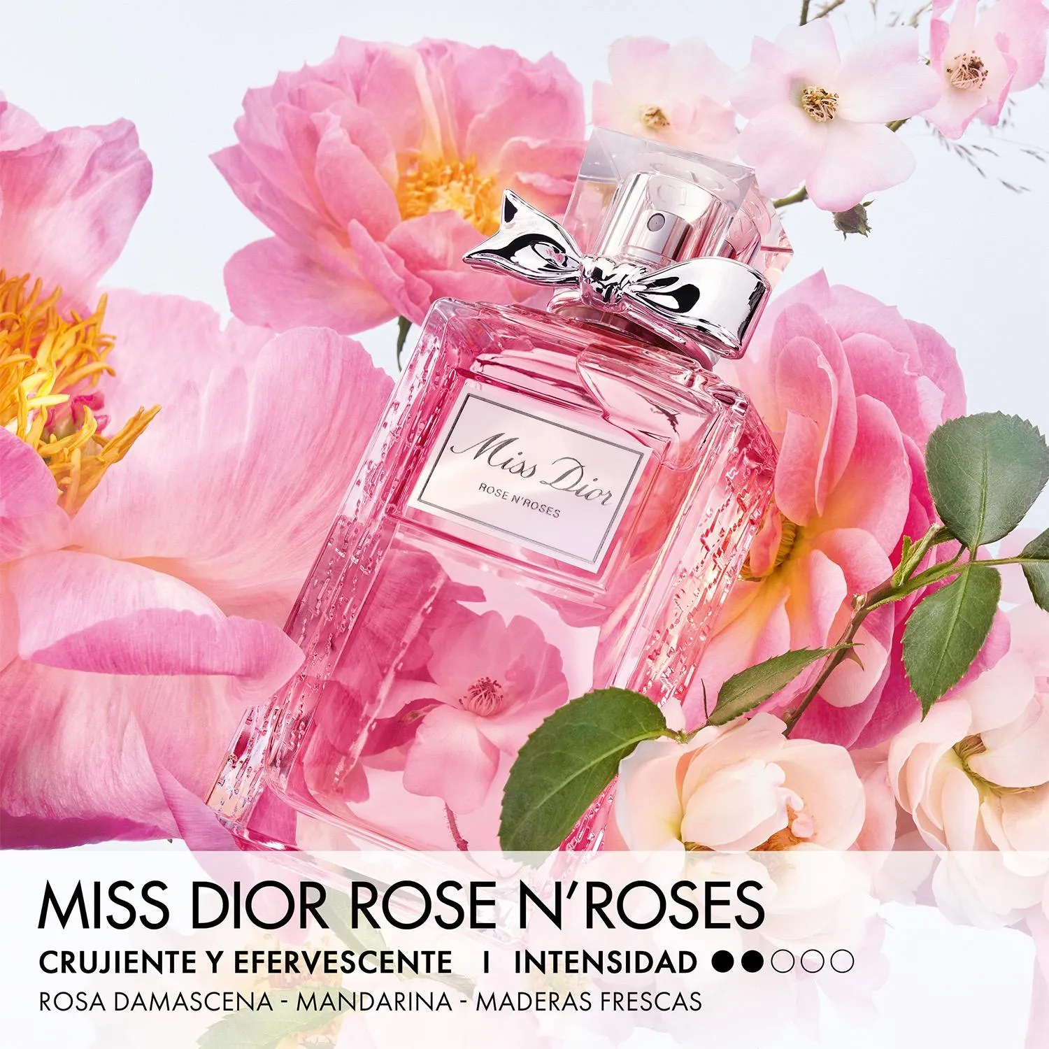 DIOR Perfume Mujer Miss Dior Rose N' Roses Edt 100 Ml | Falabella