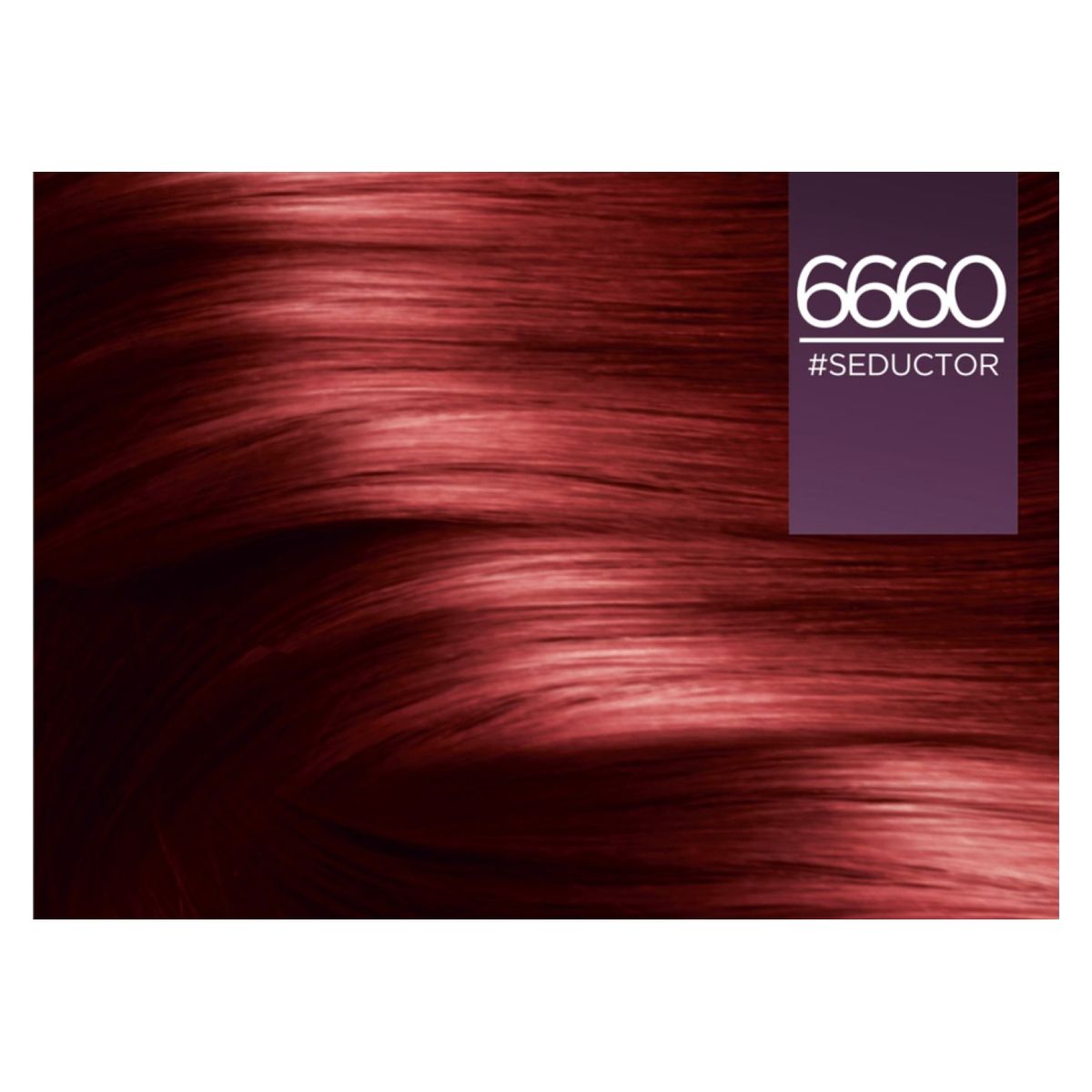 EXCELLENCE - Excellence 6660 Rubio Oscuro Rojizo Profundo