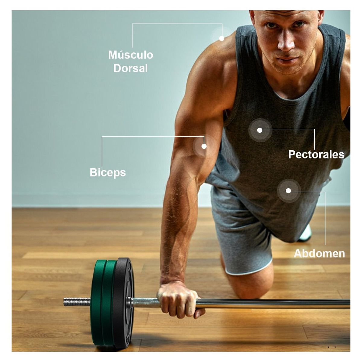 ATHLETICX - Pack Pesas Barra Recta 1.5m + 40 Kg Discos Color