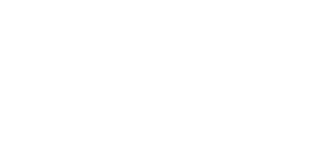 Norseg