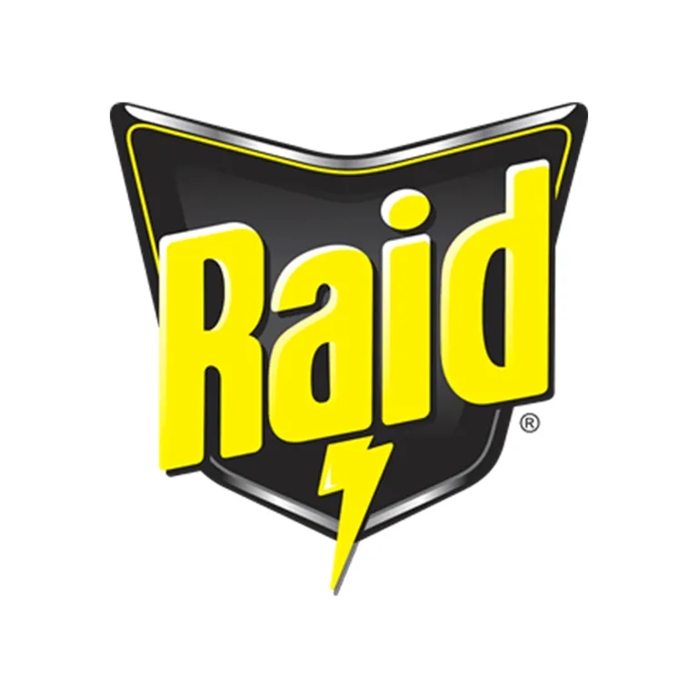 Raid