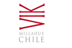ViñA Vik