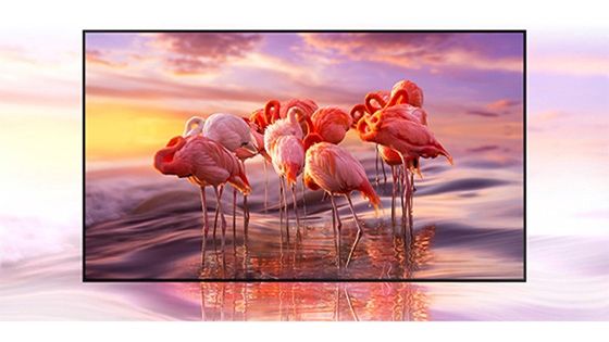 QLED Samsung 50